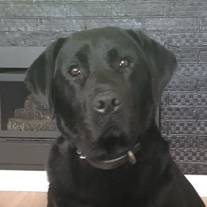 Meet your Posher, Bridget